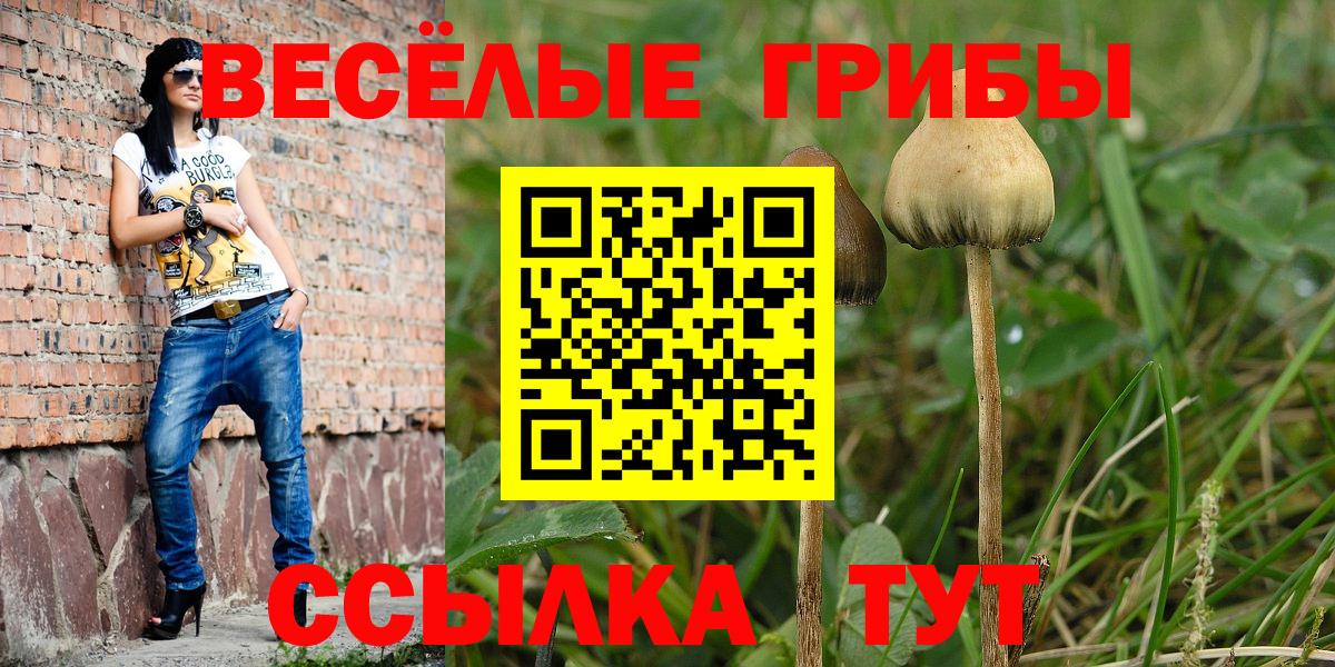 Галлюциногенные грибы MAGIC MUSHROOMS Шебекино