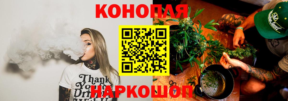 Бошки марихуана тримм Шебекино
